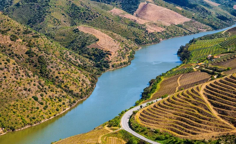Rio Douro e encostas cobertas de vinhas